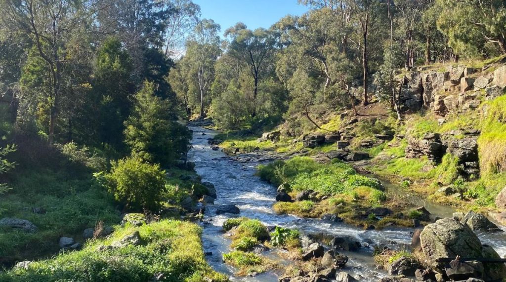 The Acknowledgment Project